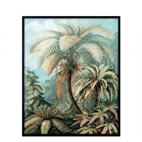 Affiche Palm Heaven