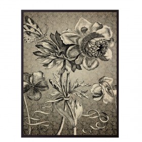 Affiche Antique floral